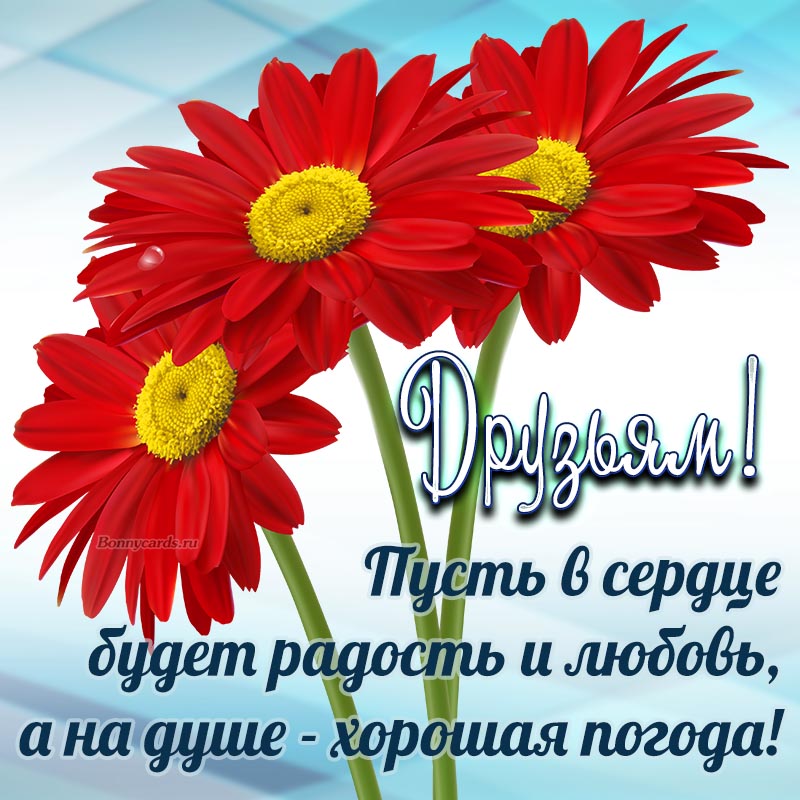 Моим друзьям, фото 17 Моим друзьям, фото 17