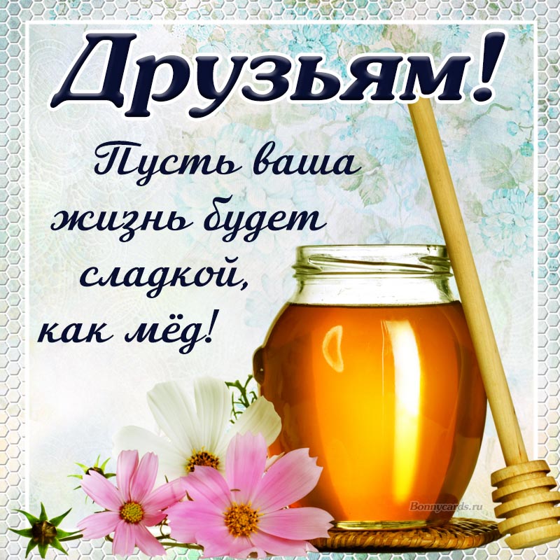 Моим друзьям, фото 1 Моим друзьям, фото 1