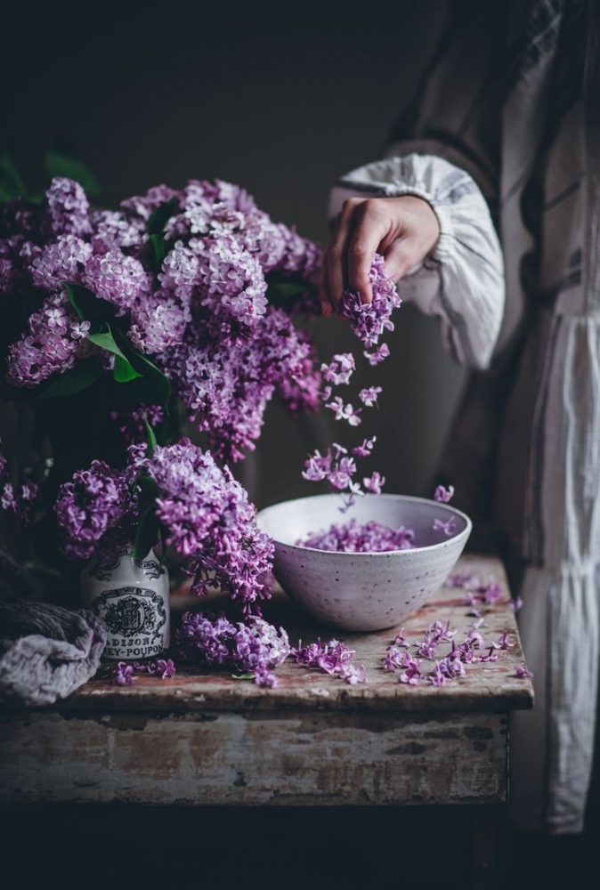 Обои с сиренью , фото 48