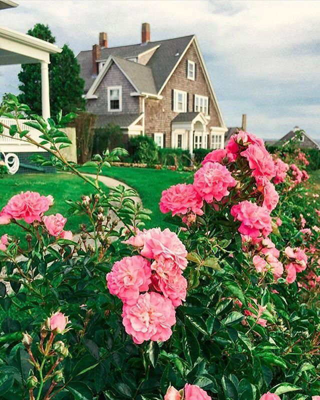 Весенние обои, фото 6 Весенние обои, фото 6