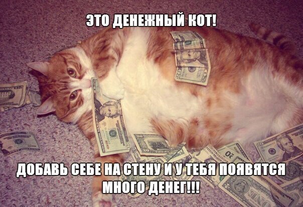 Смешные картинки с котиками. Часть 1, фото 7 Смешные картинки с котиками. Часть 1, фото 7