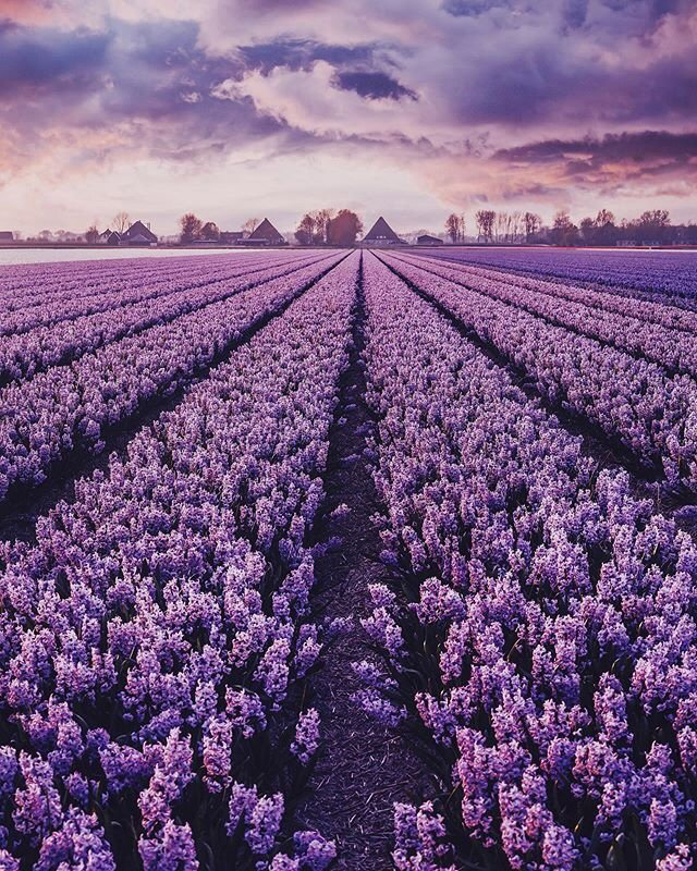 Весенние обои, фото 25 Весенние обои, фото 25