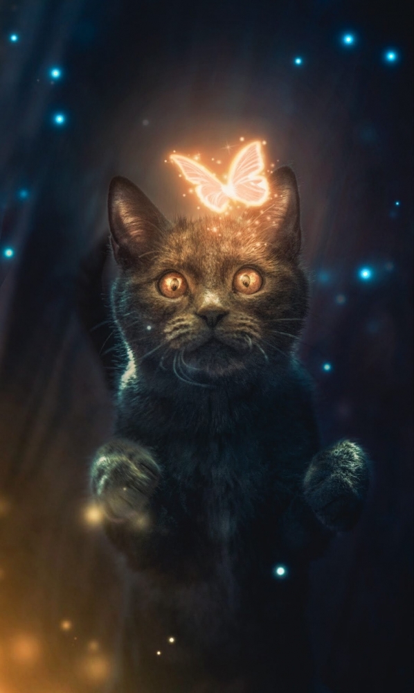 Обои на iPhone 7plus. 6 часть., фото 3 Обои на iPhone 7plus. 6 часть., фото 3