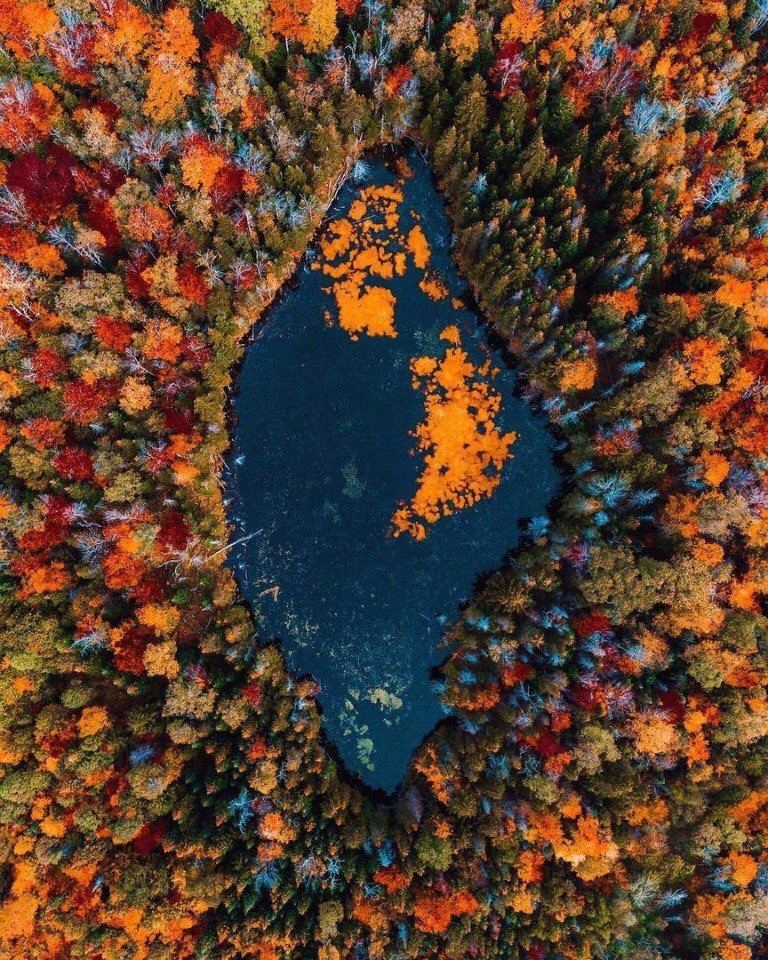 Осенние обои , фото 25 Осенние обои , фото 25
