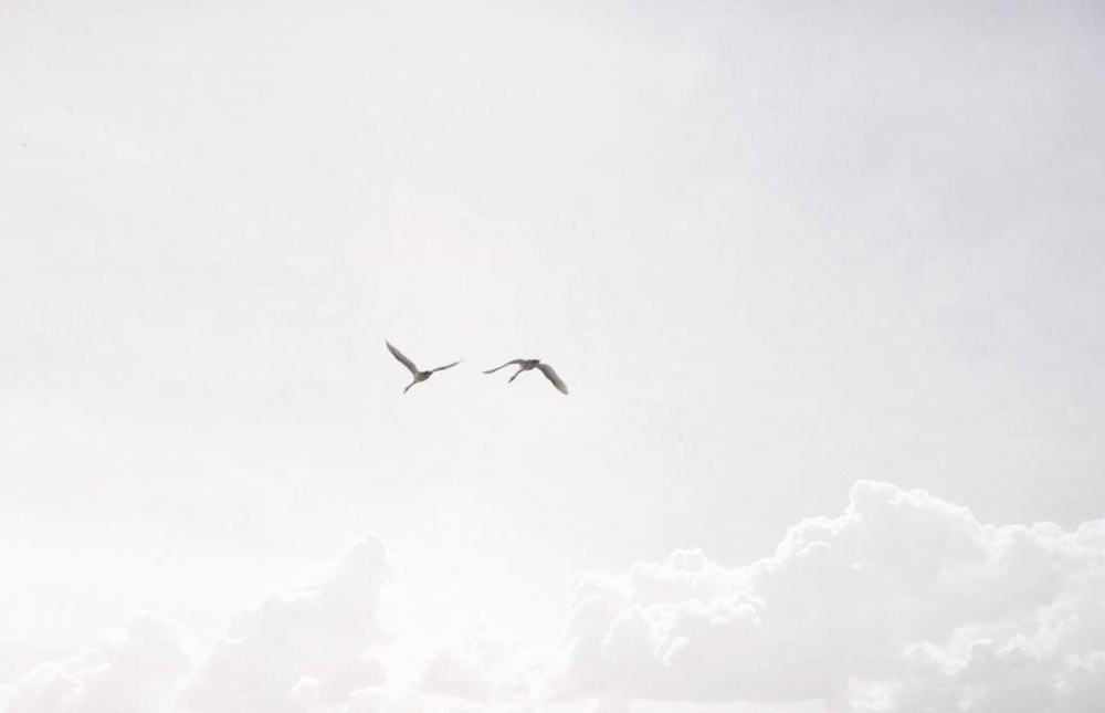 Обои с небом и облаками, фото 7 Обои с небом и облаками, фото 7