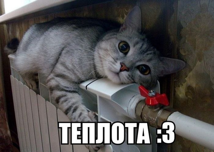 Когда одиноко, скучно или тоскливо!, фото 1 Когда одиноко, скучно или тоскливо!, фото 1