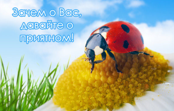 Когда одиноко, скучно или тоскливо!, фото 12 Когда одиноко, скучно или тоскливо!, фото 12