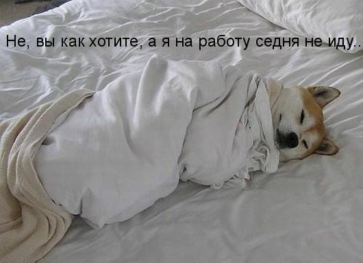 Когда одиноко, скучно или тоскливо!, фото 16 Когда одиноко, скучно или тоскливо!, фото 16