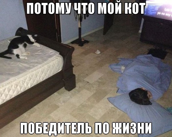 Когда одиноко, скучно или тоскливо!, фото 21 Когда одиноко, скучно или тоскливо!, фото 21