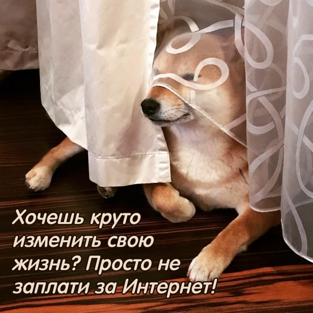 Когда одиноко, скучно или тоскливо!, фото 8 Когда одиноко, скучно или тоскливо!, фото 8