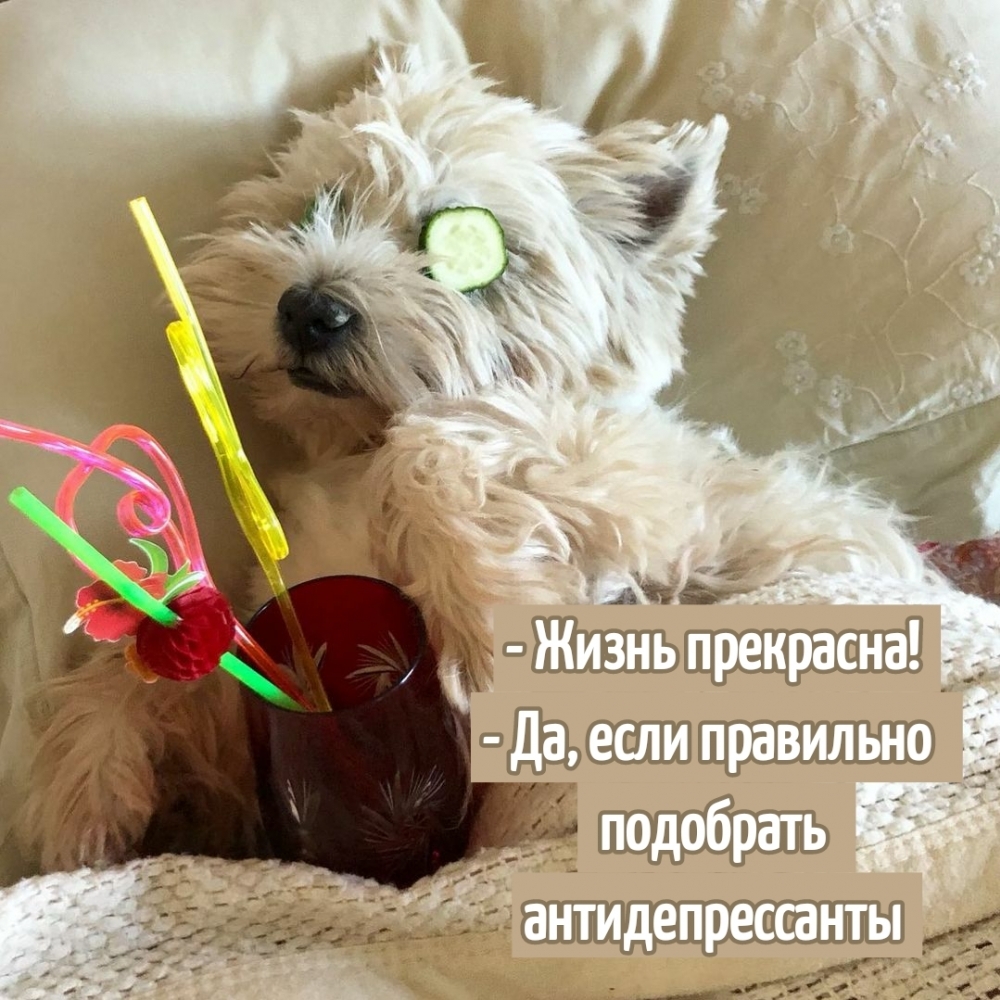 Когда одиноко, скучно или тоскливо!, фото 9 Когда одиноко, скучно или тоскливо!, фото 9