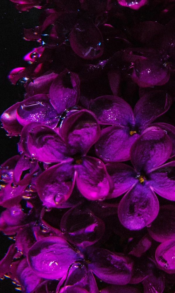 Обои для iPhone 7plus. 5 часть. , фото 21 Обои для iPhone 7plus. 5 часть. , фото 21