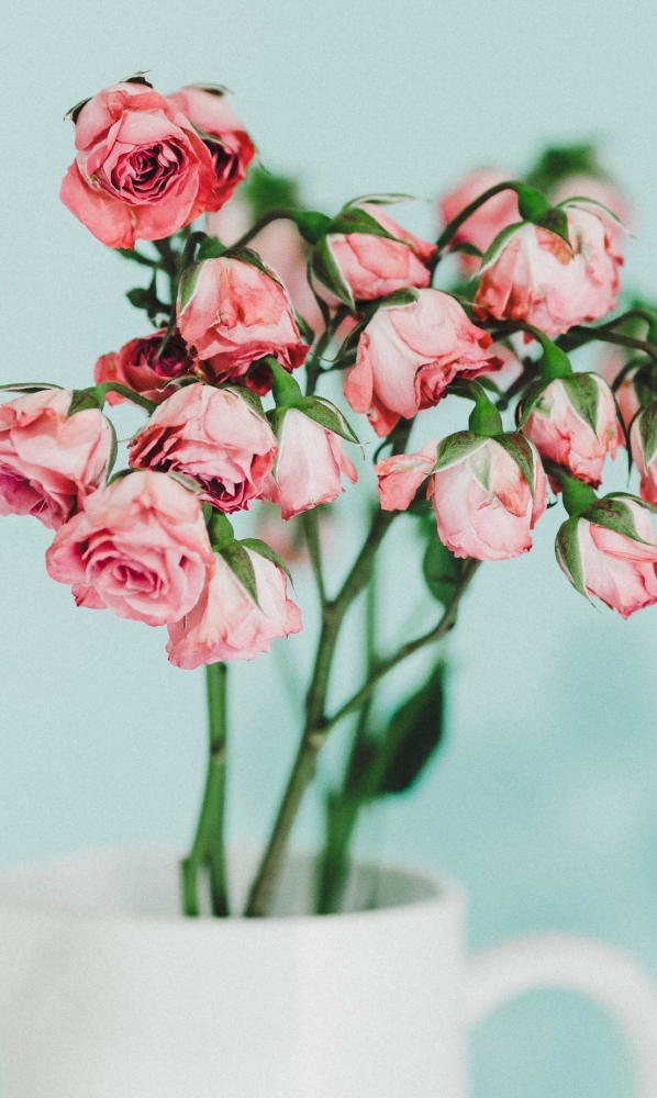 Подборка обоев для iphona 7plus, фото 19 Подборка обоев для iphona 7plus, фото 19