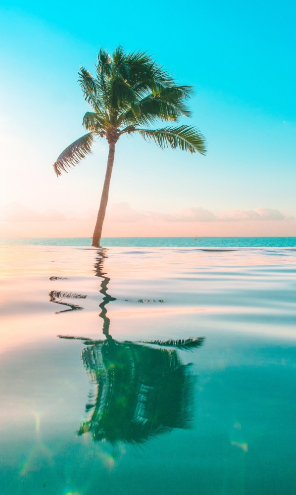 Подборка обоев для iphona 7plus. Часть 7, фото 12 Подборка обоев для iphona 7plus. Часть 7, фото 12