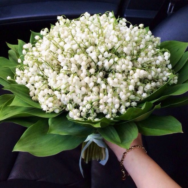 Обои с ландышами , фото 40 Обои с ландышами , фото 40