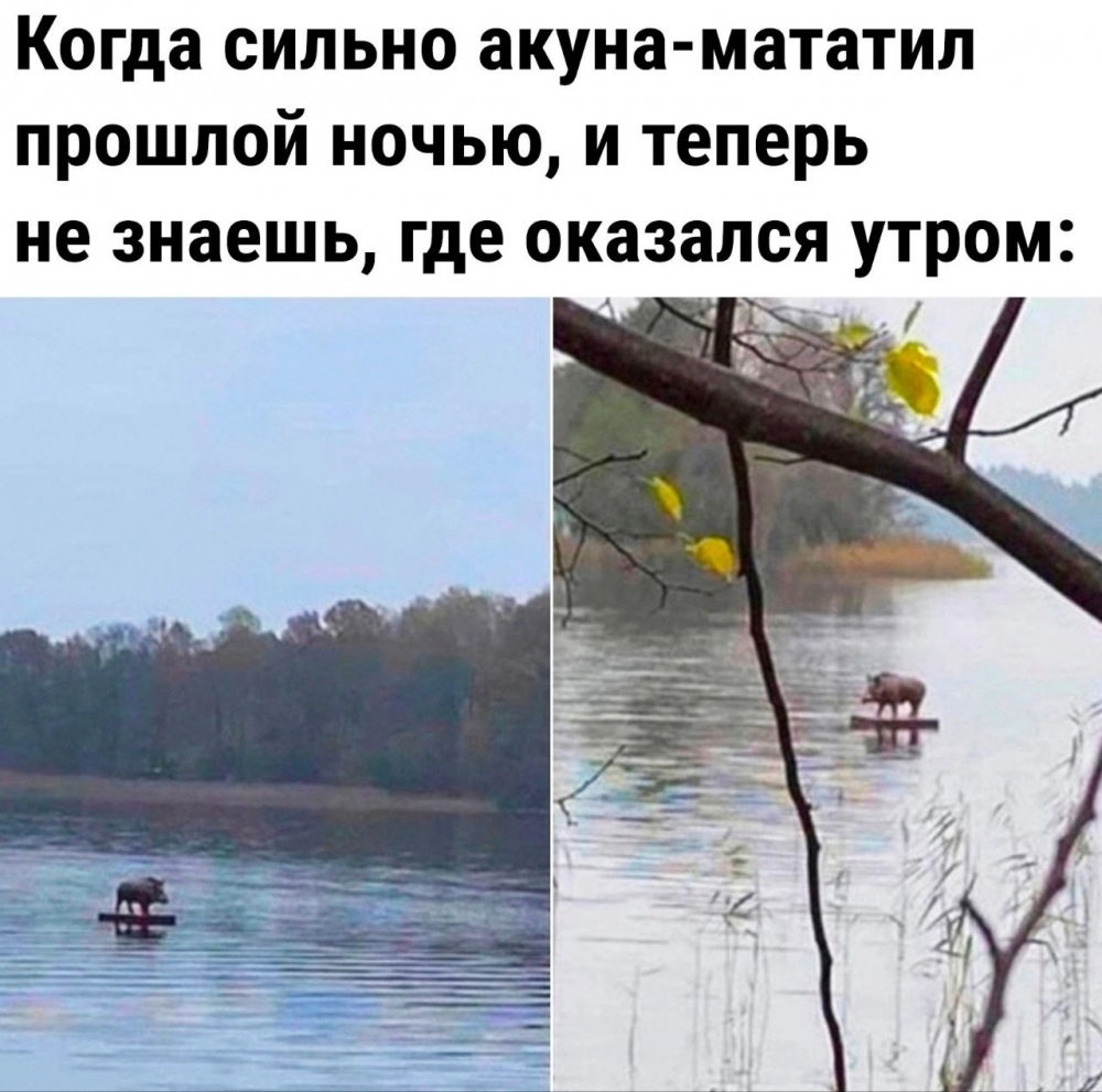 Мэмы. 2 часть
