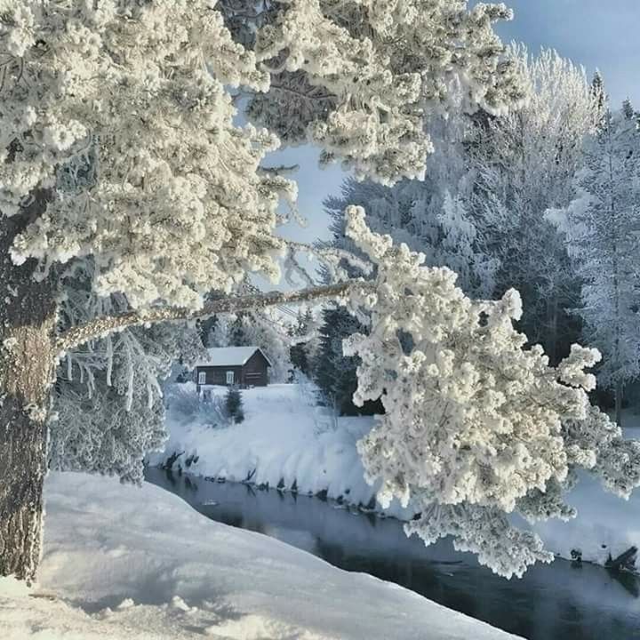 Мороз и солнце - день чудесный!