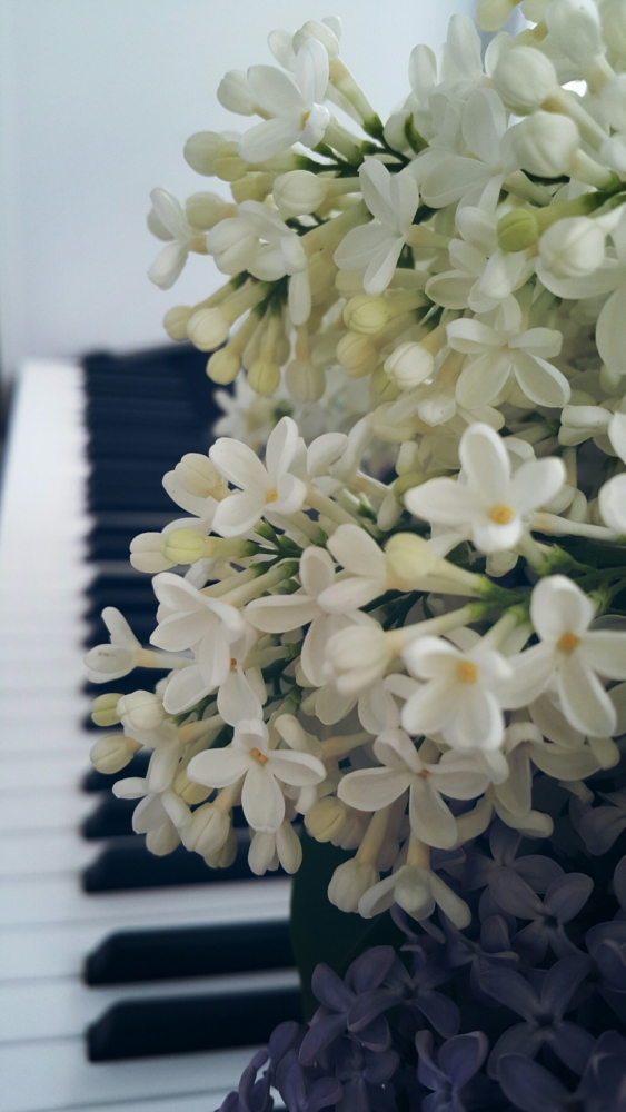 Обои с сиренью , фото 18