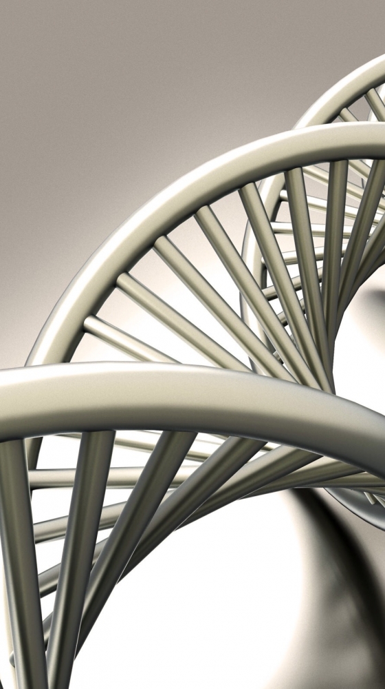 3D обои для твоего телефончика , фото 22 3D обои для твоего телефончика , фото 22