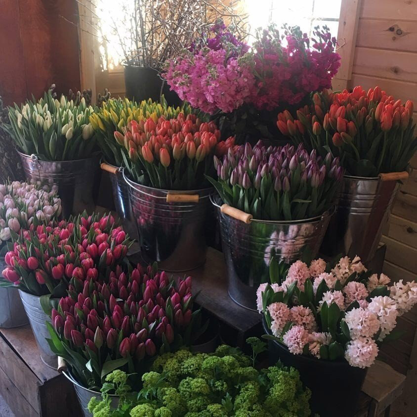 Весенние обои, фото 45 Весенние обои, фото 45