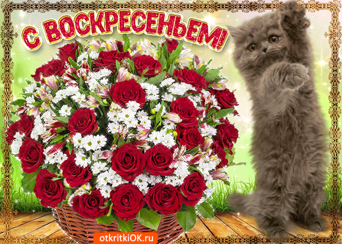 Хочу представить открытки для пожелания хорошего выходного воскресенья!, фото 5 Хочу представить открытки для пожелания хорошего выходного воскресенья!, фото 5