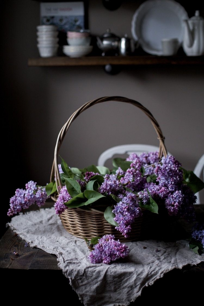 Обои с сиренью , фото 47