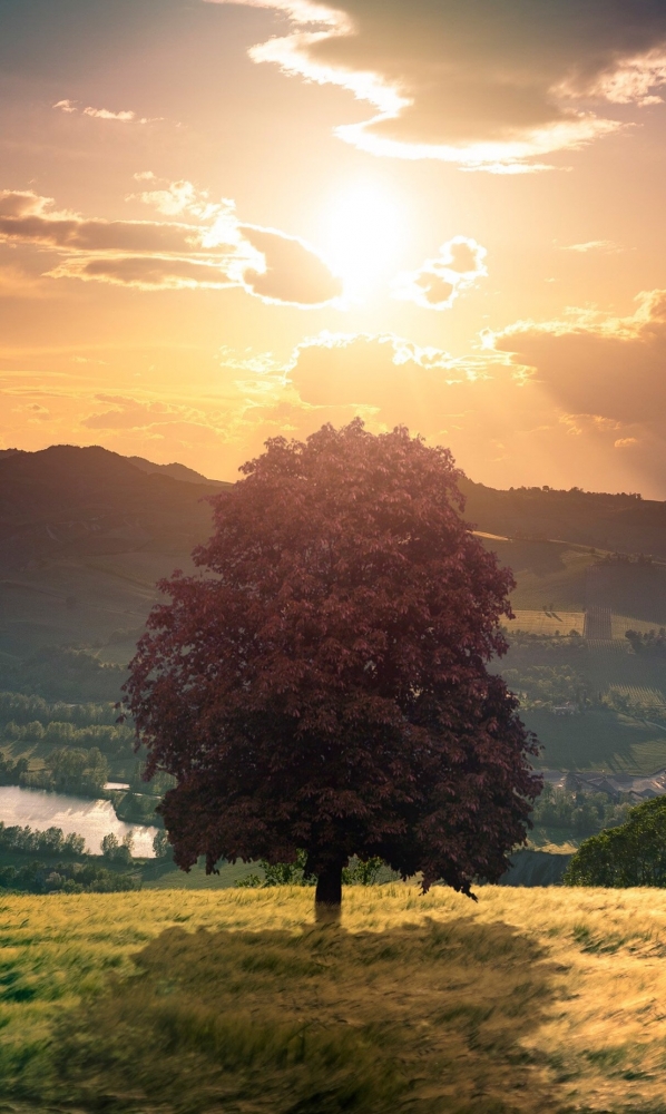 Подборка обоев для iphona 7plus. 10часть( последняя)., фото 92 Подборка обоев для iphona 7plus. 10часть( последняя)., фото 92