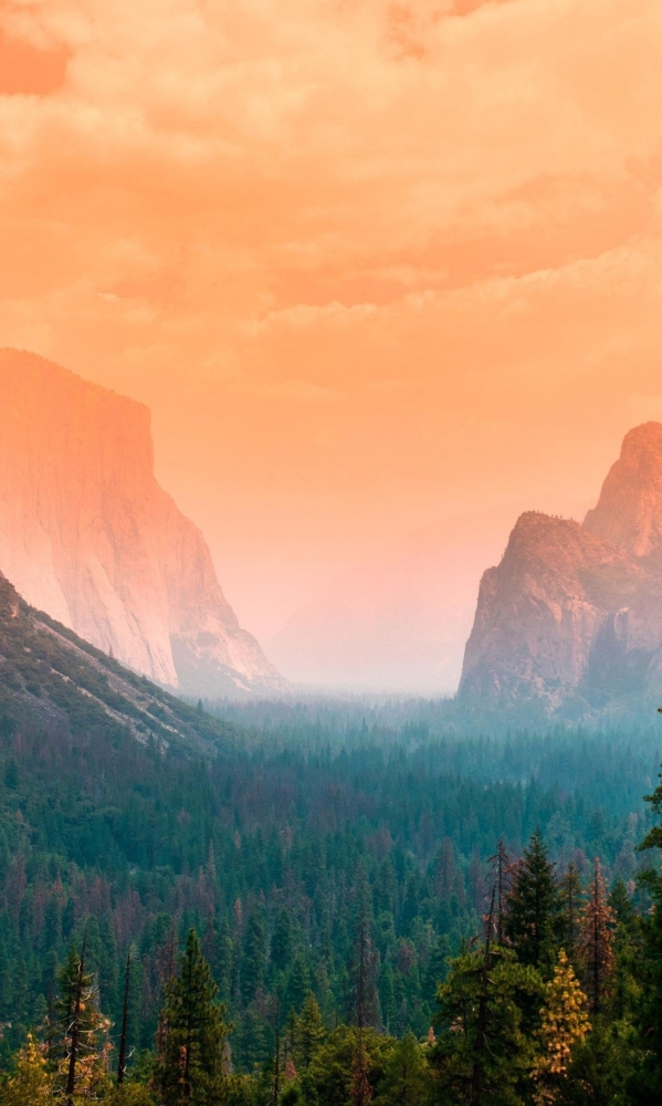 Подборка обоев для iphona 7plus. 8 часть , фото 10 Подборка обоев для iphona 7plus. 8 часть , фото 10