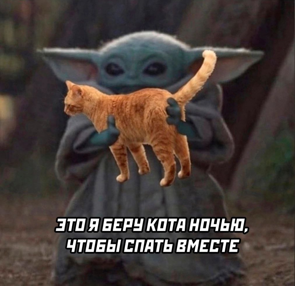 Шуточки и мемы для вас. 12 часть