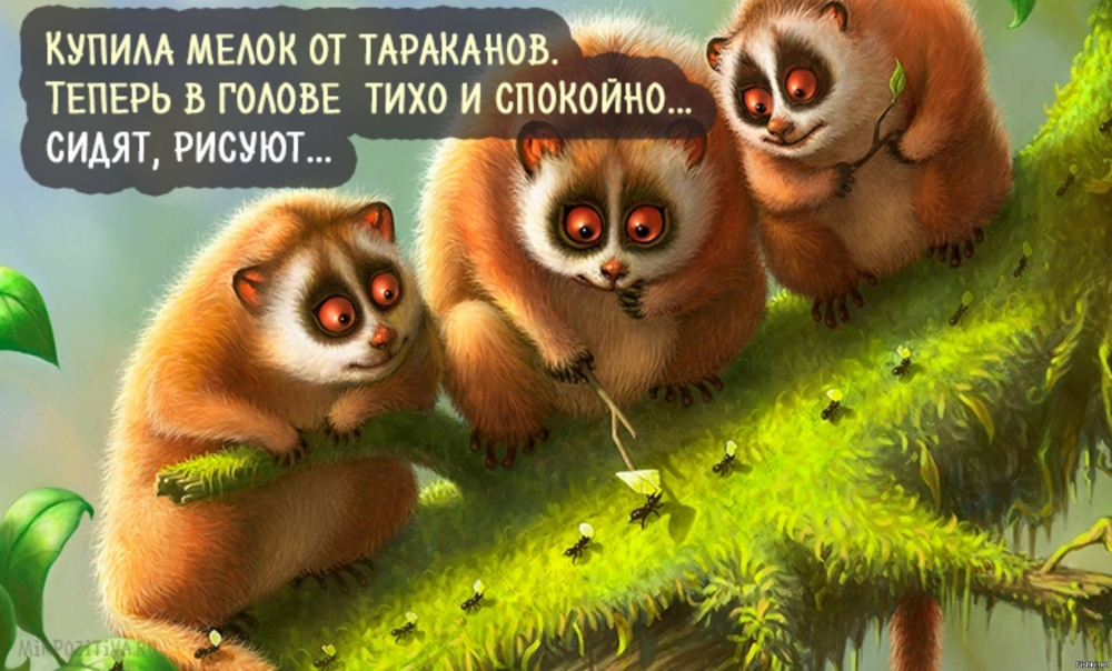 Смешные картинки для любых возрастов, фото животных и детей, фото 16 Смешные картинки для любых возрастов, фото животных и детей, фото 16