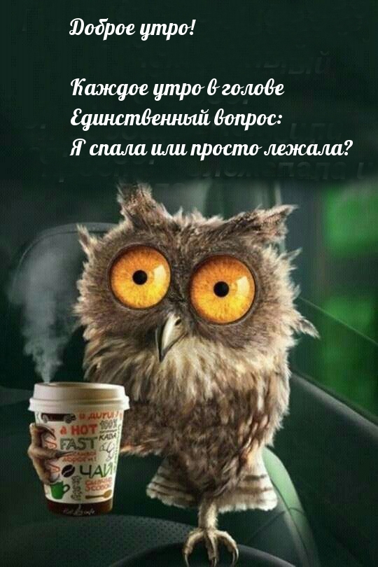 Разве каждое утро должно быть только добрым и нежным?, фото 28