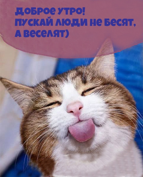 Разве каждое утро должно быть только добрым и нежным?, фото 29