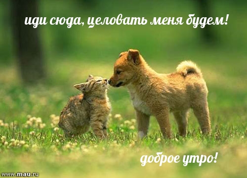 Разве каждое утро должно быть только добрым и нежным?, фото 10