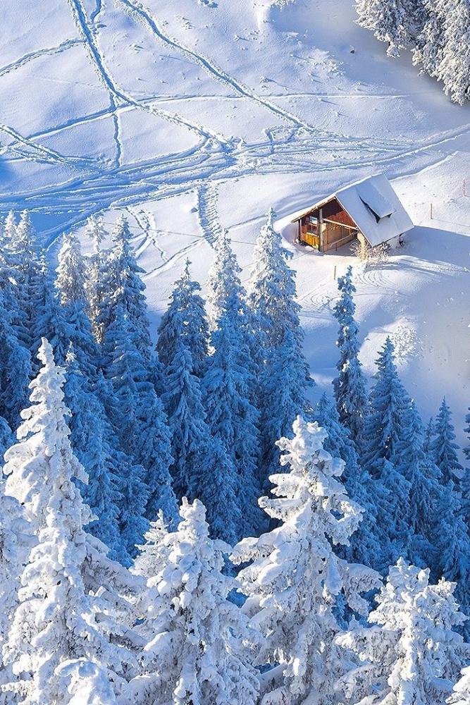 Мороз и солнце - день чудесный!, фото 8 Мороз и солнце - день чудесный!, фото 8