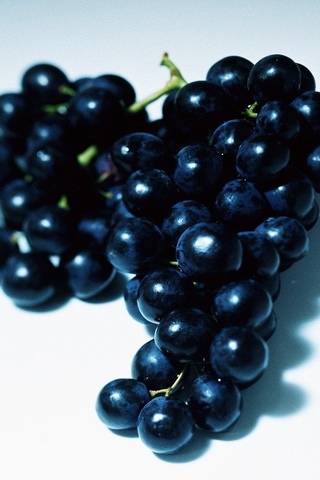 Обои и заставки на тему Вкус лета, фото 26 Обои и заставки на тему Вкус лета, фото 26