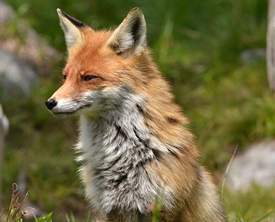 Умора!, фото 1