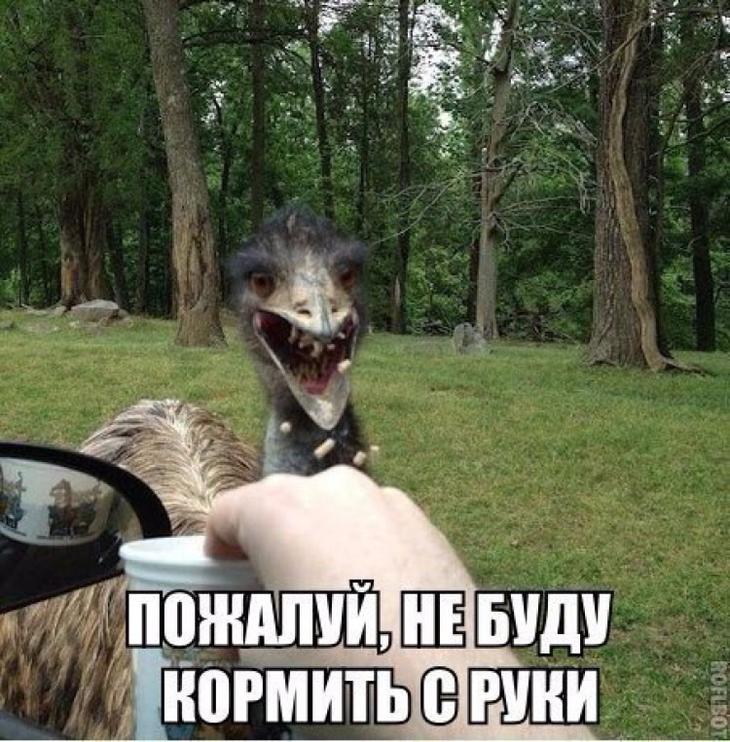 Фото приколы и казусы, фото 18