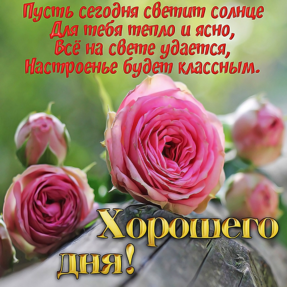 Открытки с пожеланием Хорошего дня! Часть 1, фото 17 Открытки с пожеланием Хорошего дня! Часть 1, фото 17