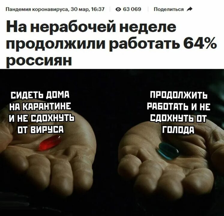 Коронаюмор , фото 18 Коронаюмор , фото 18