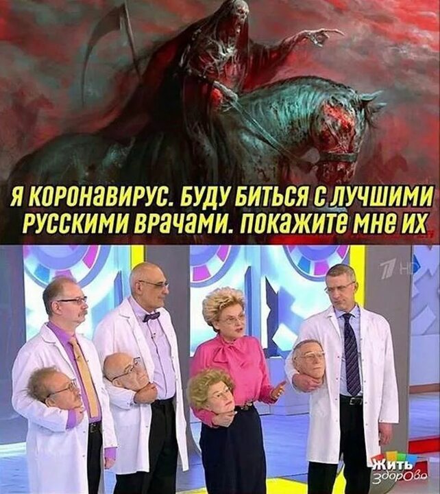 Коронаюмор , фото 11 Коронаюмор , фото 11