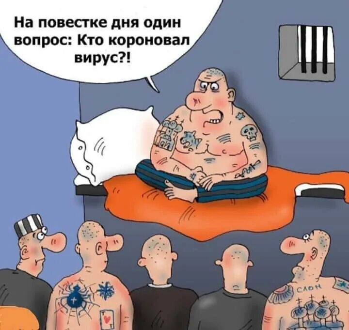 Коронаюмор , фото 5 Коронаюмор , фото 5