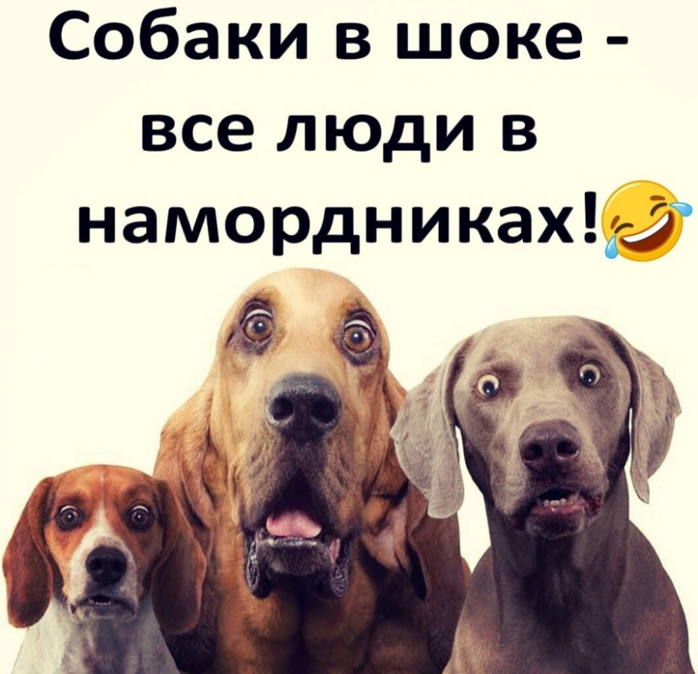 Предлагаю посмотреть на подборку шуточных картинок про короновирус, фото 17 Предлагаю посмотреть на подборку шуточных картинок про короновирус, фото 17