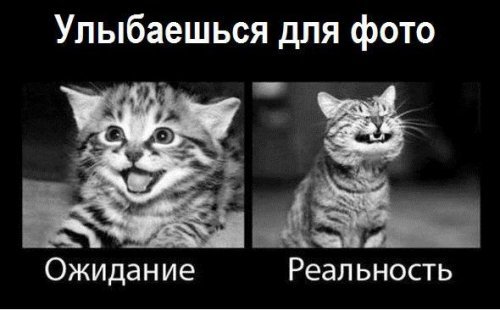 Фотоприколы ожидание и реальность, фото 17 Фотоприколы ожидание и реальность, фото 17