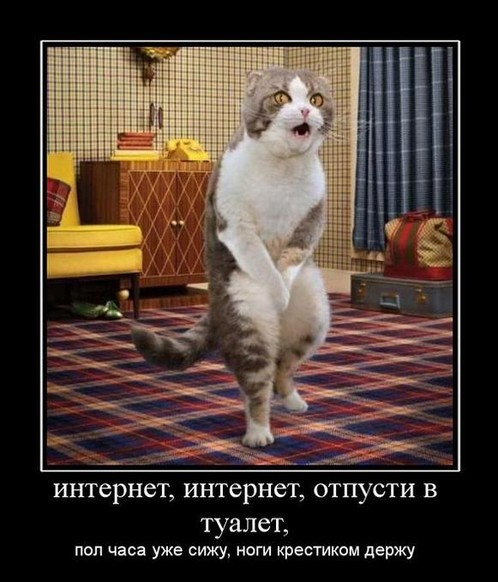 Прикольные картинки, Позитив на весь день!, фото 11