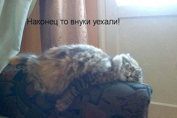 Прикольные картинки, Позитив на весь день!, фото 14