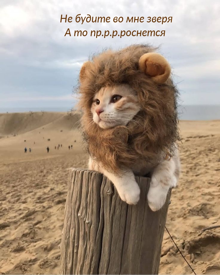 Прикольные картинки, Позитив на весь день!, фото 21