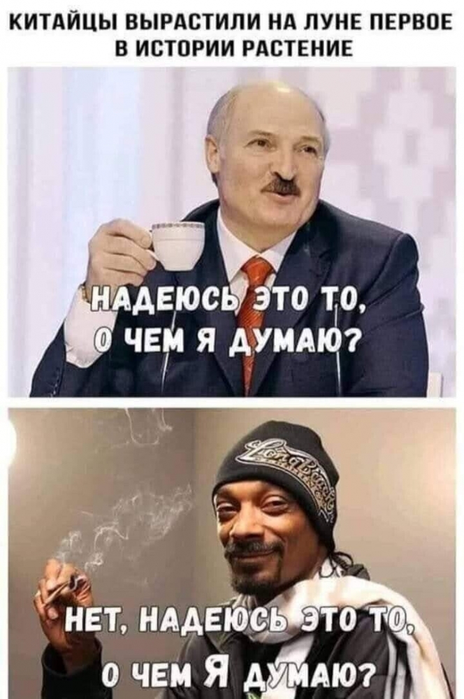 Смешные картинки. , фото 28