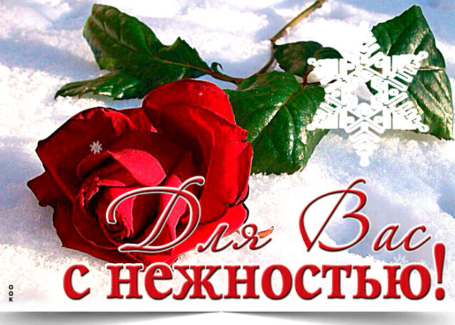 Открытка, картинка, дружба, открытка моим друзьям!, фото 20