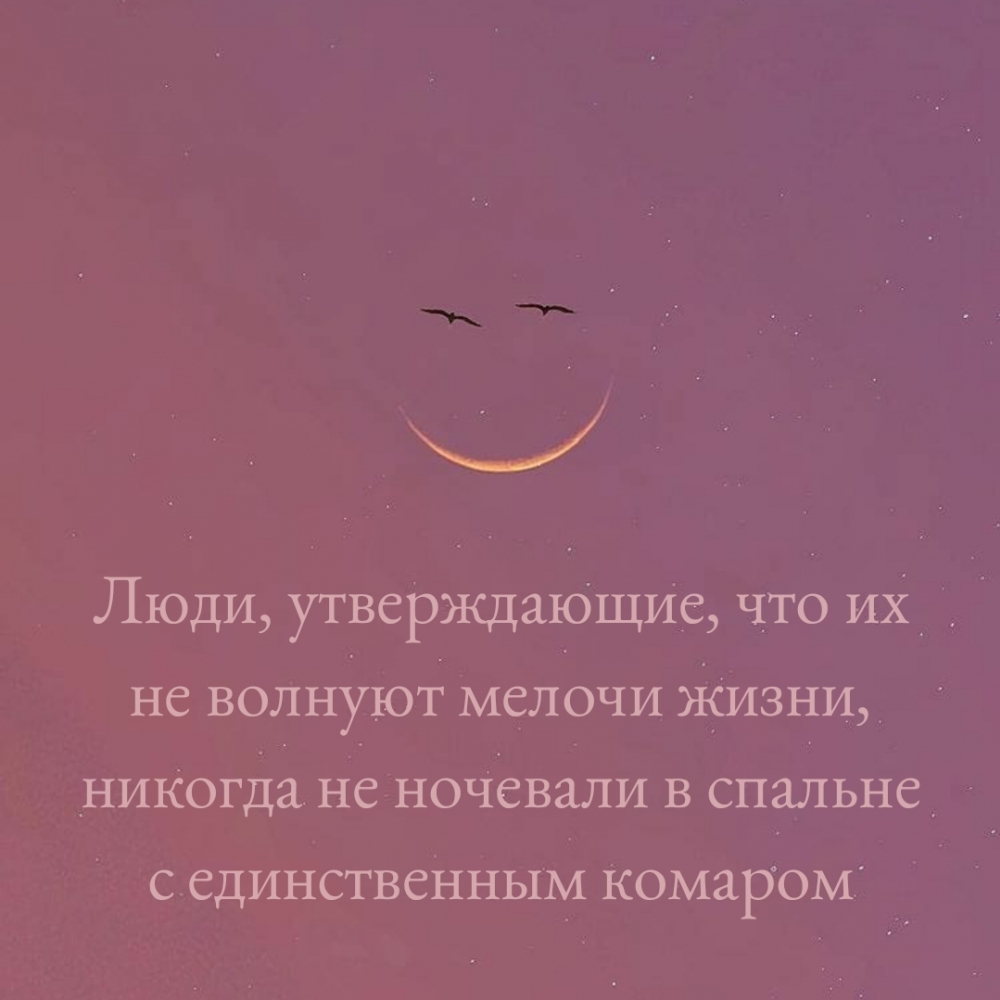 Прикольные картинки, Позитив на весь день!, фото 27