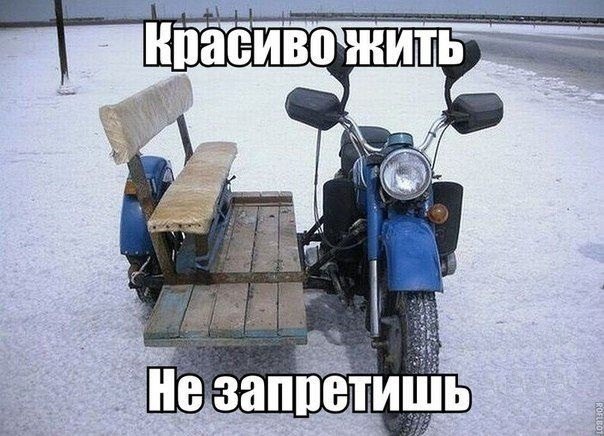 Прикольные картинки, Позитив на весь день!, фото 31